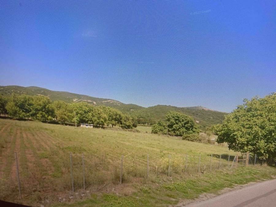 (Verkauf) Nutzbares Land Grundstück || Achaia/Kalavryta - 5.000 m², 98.000€ 