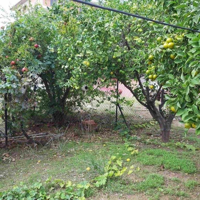 (Προς Πώληση) Αξιοποιήσιμη Γη Οικόπεδο || Ν. Εύβοιας/Χαλκίδα - 261 τ.μ, 37.000€ 